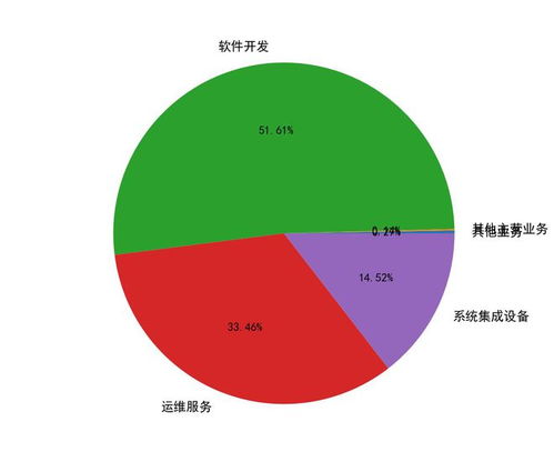 久远银海（002777）软件开发业务要点解析