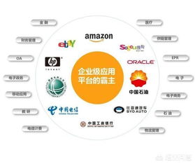 Java与Java开发工程师在信息系统集成服务领域的现状与前景